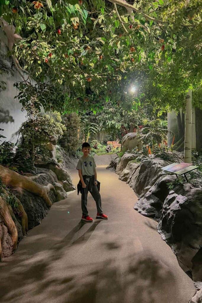boy standing on a path with green plants around him and large rocks