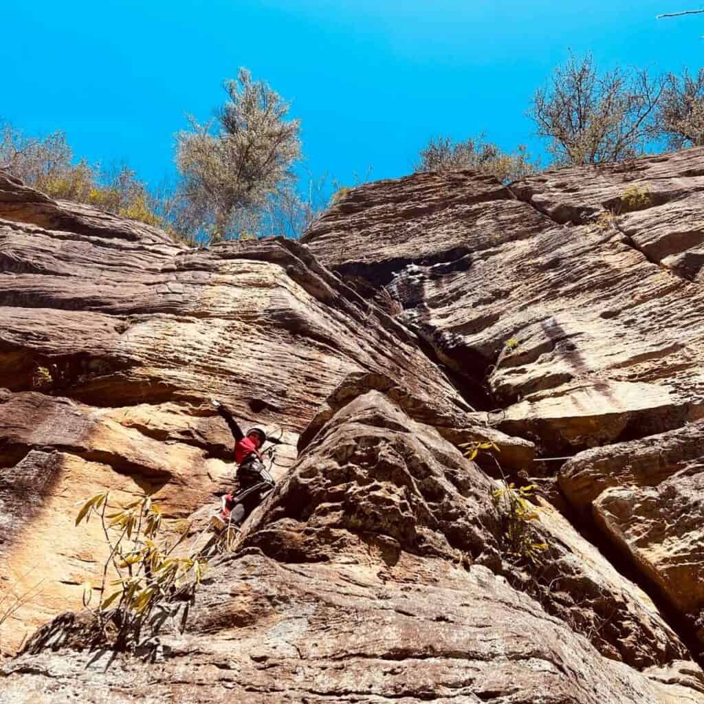 boy rock climbing on side of cliff with southeast mountain guides