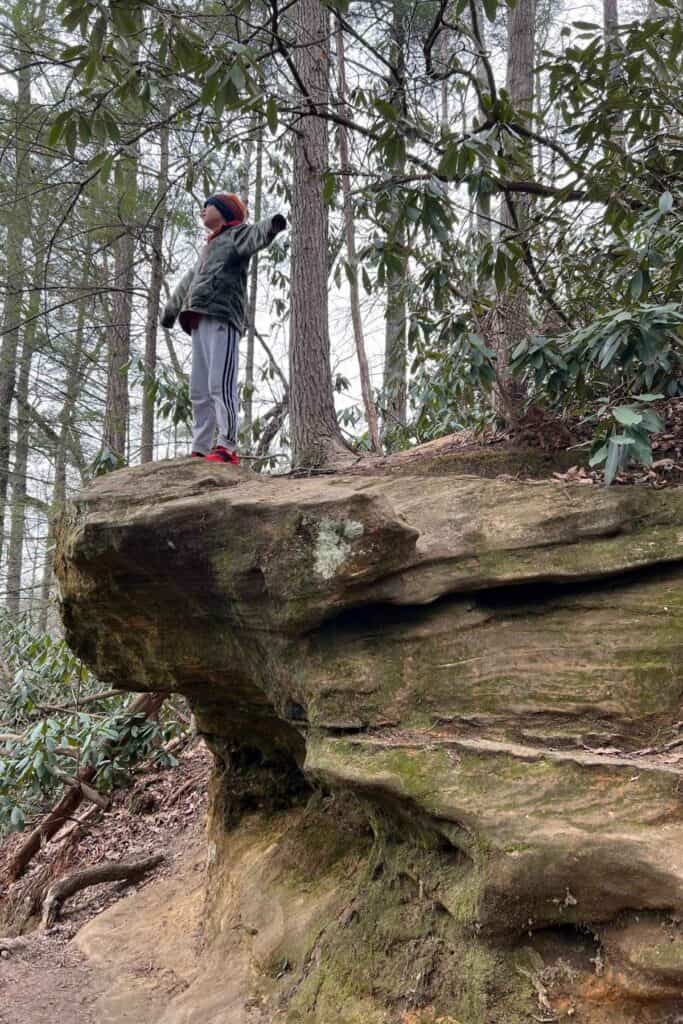 boy in camo coat wearing a hat standing on rock with arms open wide