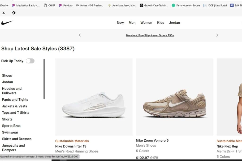 picture of shopping at the Nike website