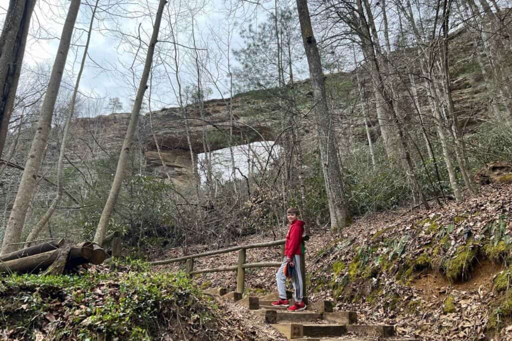 boy in red sweatshirt climbing stairs in a forest with rock formations behind him