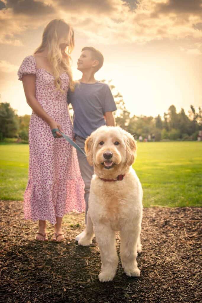 mother and son walking together with their dog during sunset symbolizing healing journey and rebuilding peace